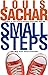 Small Steps by Louis Sachar