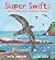 Super Swifts: Small Birds with Amazing Powers