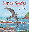 Super Swifts: Small Birds with Amazing Powers