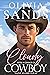 Cloudy with a Chance of Cowboy (Saint Cloud, Texas #1)