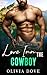 Love Inn the Cowboy (Love Inn Sisters #3)