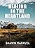 Healing in the Heartland by Shawn Maravel