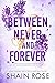 Between Never and Forever (The Hardy Billionaire Brothers, #3)