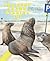 Sea Lions in the Parking Lot: Animals on the Move in a Time of Pandemic