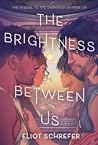 The Brightness Between Us (The Darkness Outside Us, #2)