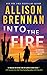 Into the Fire (Angelhart Investigations, #.5)