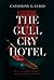 THE GULL CRY HOTEL: Occult Mystery Thriller