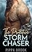 The Protective Storm Chaser (Love in a Storm, #4)