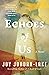 Echoes of Us: A Novel