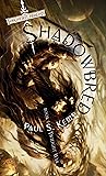 Shadowbred (Forgotten Realms: The Twilight War, #1)