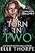 Torn In Two (Saint View Slayers vs. Sinners, #2)