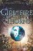 The Girl of Fire and Thorns (Fire and Thorns #1) by Rae Carson