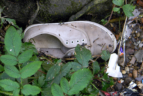 abandoned shoe