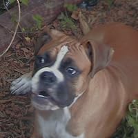 Profile Image for Barb (Boxermommyreads).