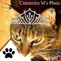 Profile Image for Cassandra.