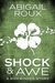 Shock & Awe (Sidewinder, #1) by Abigail Roux