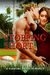 Stopping Short (The Diamond Brides, #6) by Mindy Klasky