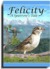 Felicity ~ A Sparrow's Tale (Felicity, #1) by Loralee Evans