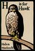 H Is for Hawk by Helen Macdonald