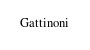 Gattinoni