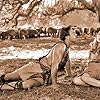 Dolores Costello and George O'Brien in Noah's Ark (1928)