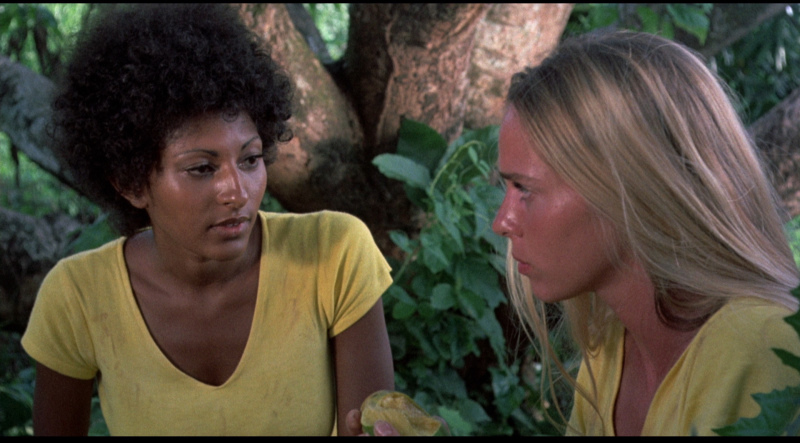 Pam Grier and Margaret Markov in Black Mama White Mama (1973)