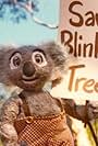 The New Adventures of Blinky Bill (1984)