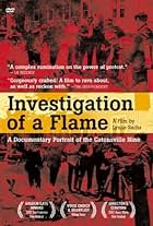 Investigation of a Flame