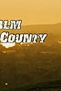 Palm County (2010)