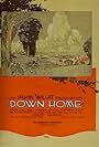 Down Home (1920)