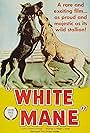 White Mane (1953)