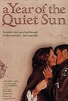 A Year of the Quiet Sun