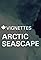 Canada Vignettes: Arctic Seascape's primary photo