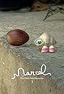 Marcel the Shell with Shoes on, Three (2014)