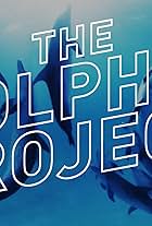 Swimming With Wild Dolphins in 360° Virtual Reality: The Dolphin Project