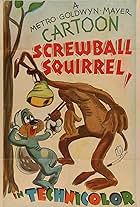 Screwball Squirrel