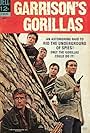 Garrison's Gorillas (1967)