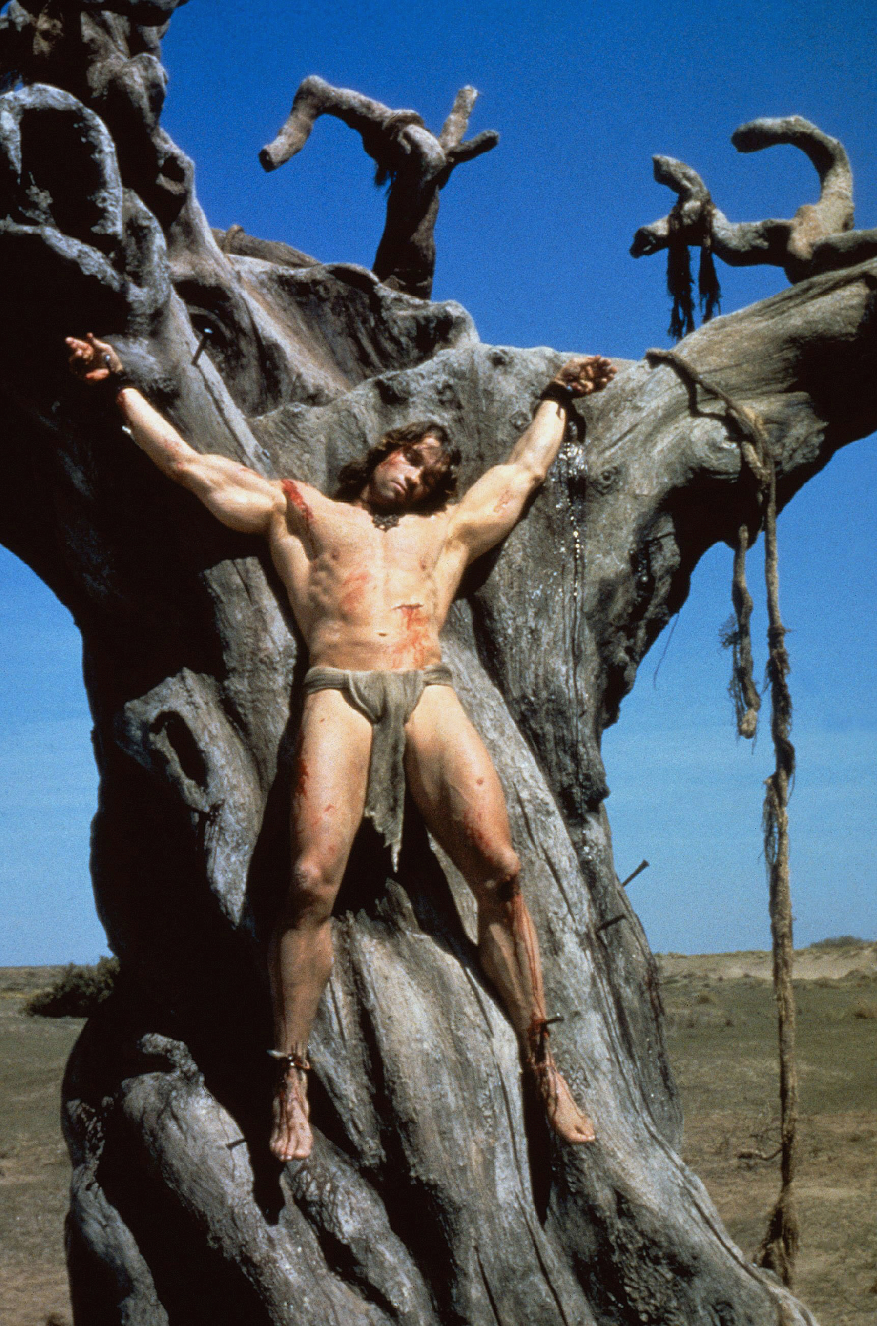 Arnold Schwarzenegger in Conan the Barbarian (1982)