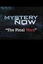 Trial & Error: Mystery Now (2017)