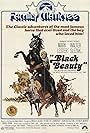 Black Beauty (1971)