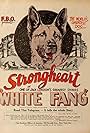 Strongheart the Dog in White Fang (1925)