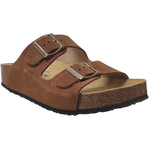 Schoenen Dames Leren slippers Plakton Cp beta Brown