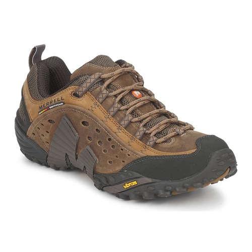 Schoenen Heren Wandelschoenen Merrell INTERCEPT Brown