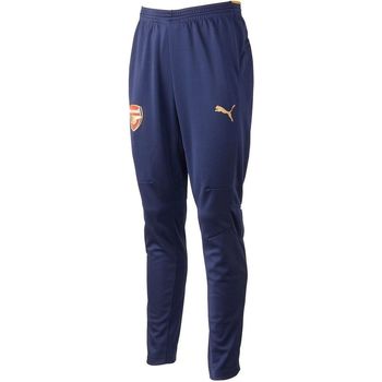 Textiel Heren Trainingspakken Puma AFC TRAINING PANTS Blauw