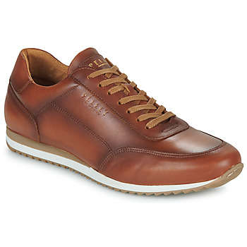 Schoenen Heren Lage sneakers Pellet MARC Veau / Brown