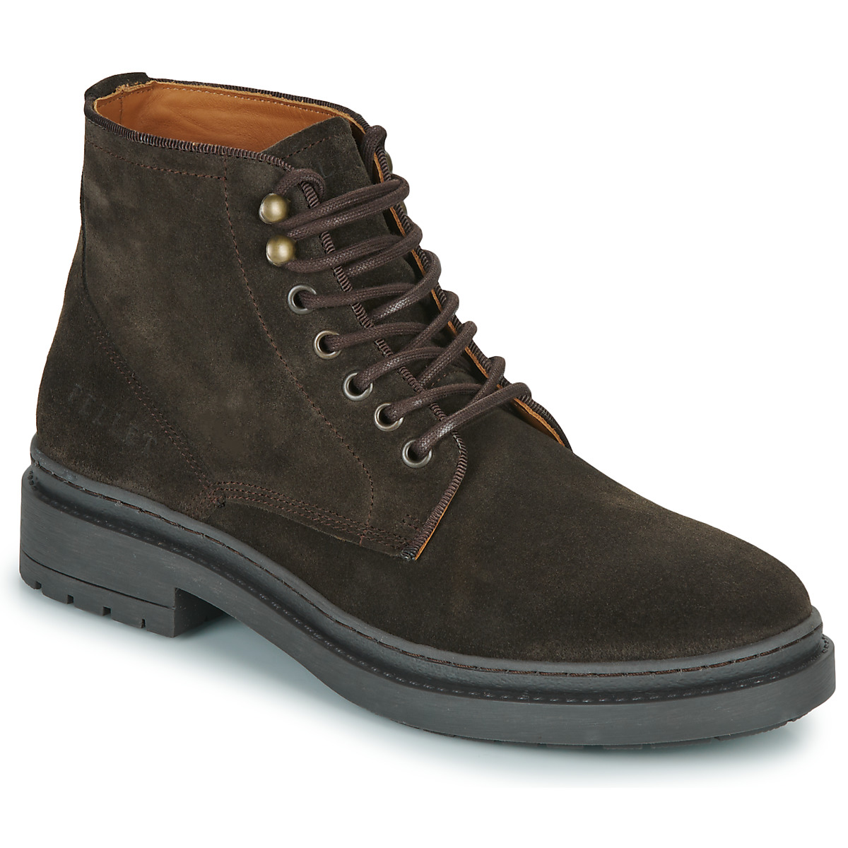 Schoenen Heren Laarzen Pellet JEAN Velours / Cypres