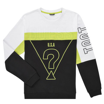 Textiel Jongens Sweaters / Sweatshirts Guess L2BQ09-KAX73-G011 Multicolour