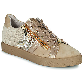 Schoenen Dames Lage sneakers Mam'Zelle Auber Brown