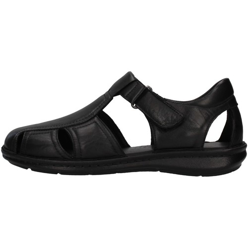 Schoenen Heren Sandalen / Open schoenen Melluso U75132B Zwart