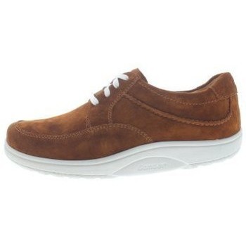 Schoenen Heren Sneakers Ganter Heimo H Brown